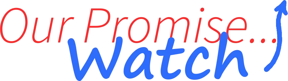 DPS Promise