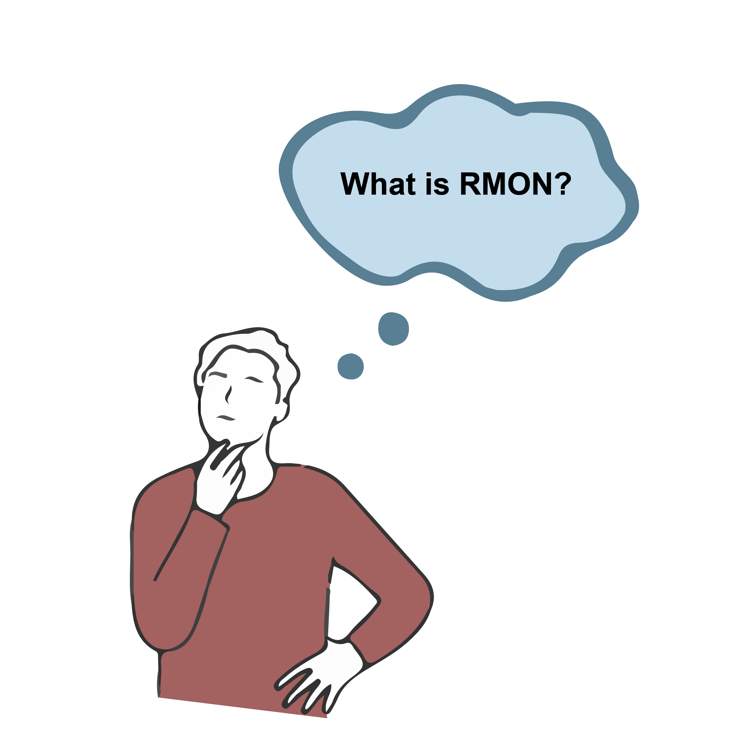 What is RMON inquiry