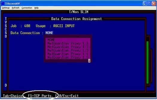 Hit F1 to go to the TCP Port assignment screen