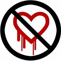bleeding heart