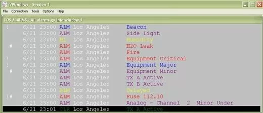 T/Windows COS