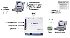 NetDog Ping Target Application