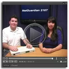 NetGuardian 216T
