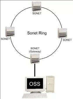 MonitorACompleteSONETRingWithTL1